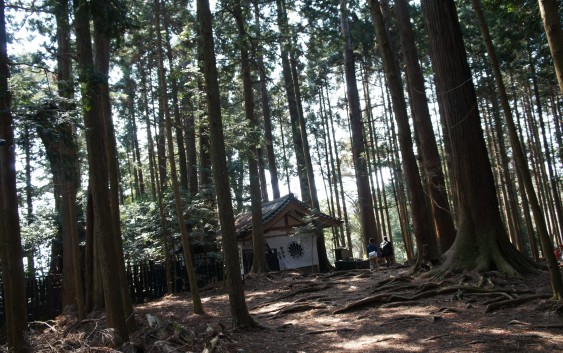 直感と出会い、旅の神秘。 直感と出会い、旅の神秘。
